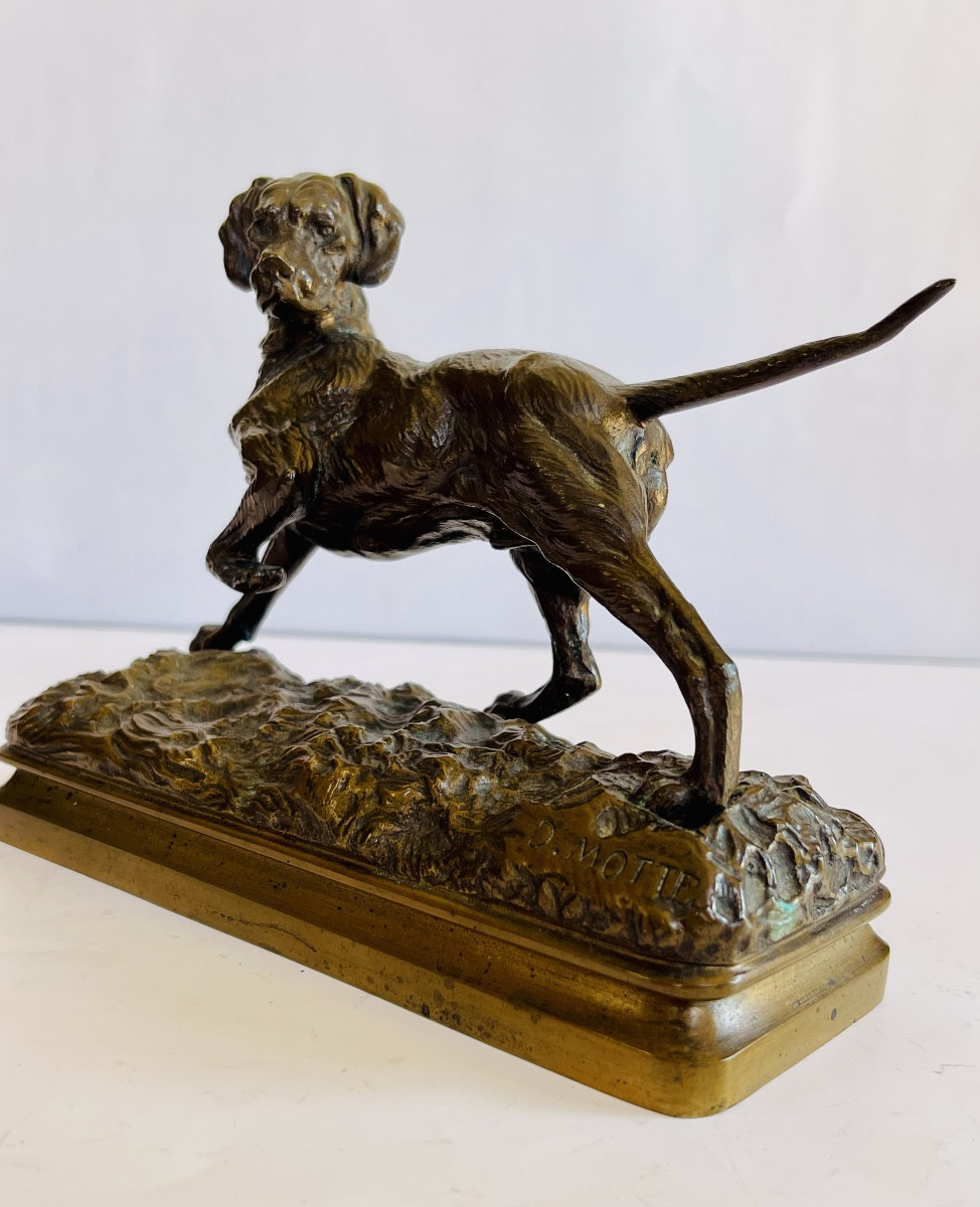 Hunting Dog On Point D.motte 